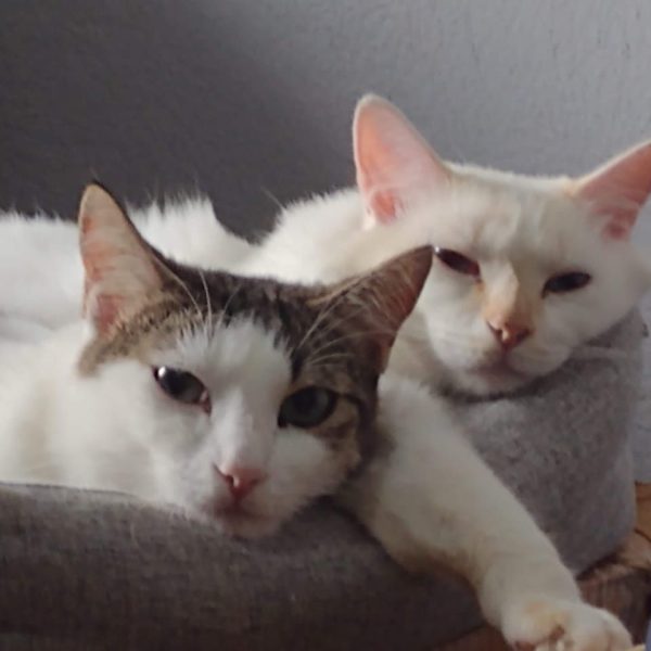 548301513_122113373960990305_8407329908767707131_n