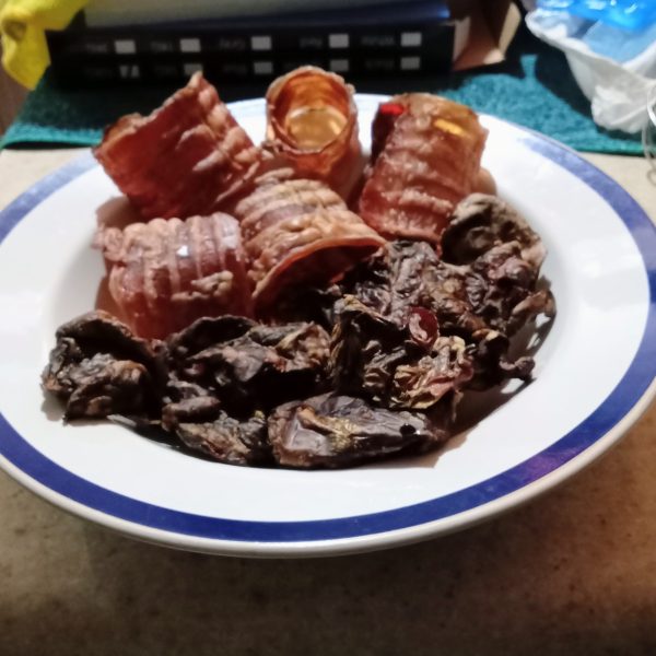 550336861_122113459400990305_5300687670393657687_n