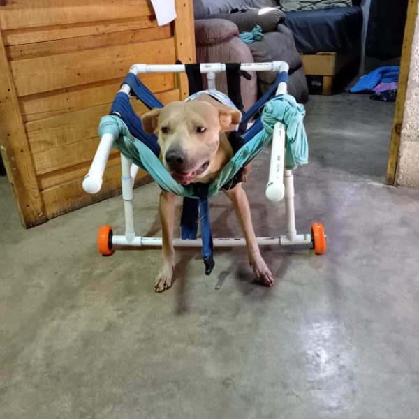 Conciencia y Educación