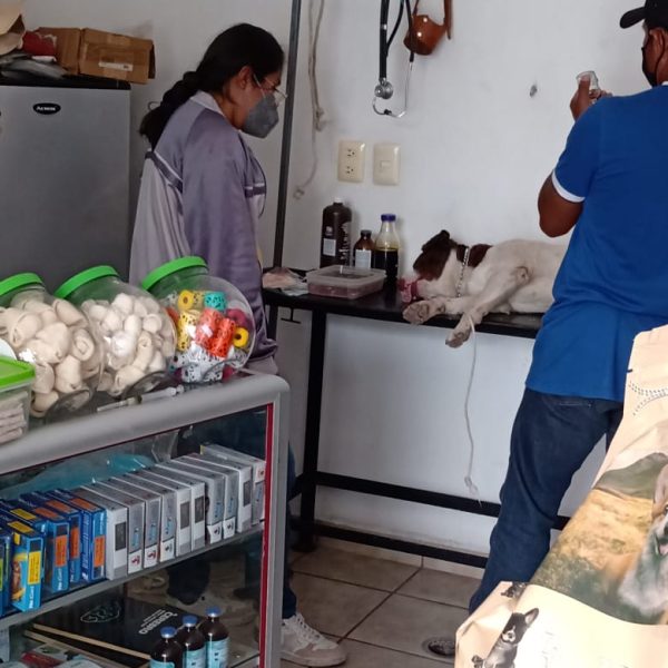 Jornadas de Esterilización